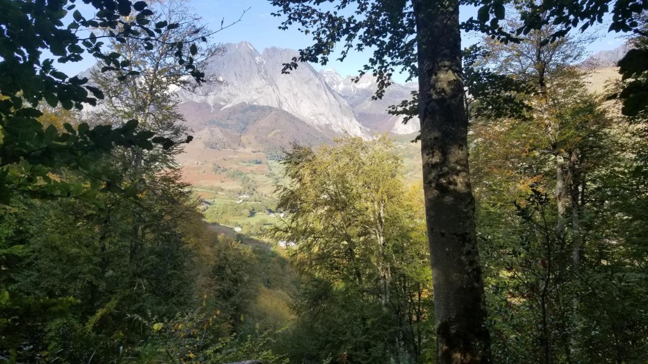 Gite De Montagne Du Plateau De Lhers- Accueil Randonneurs Accous 外观 照片